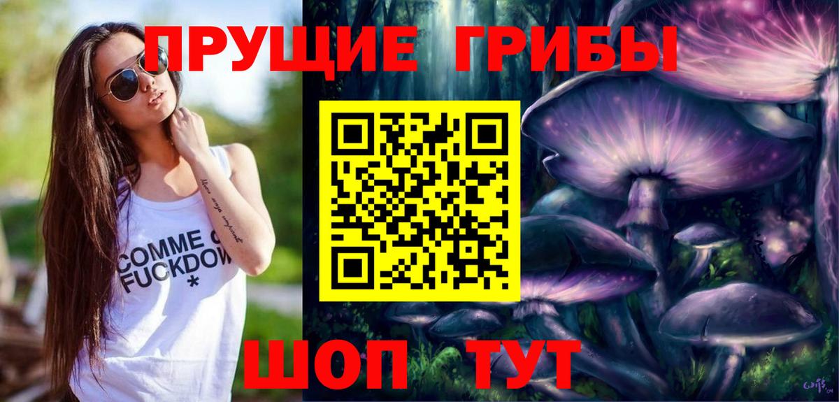 Псилоцибиновые грибы Psilocybe  Псилоцибиновые грибы мицелий  Пыть-Ях  Вход с VPN 